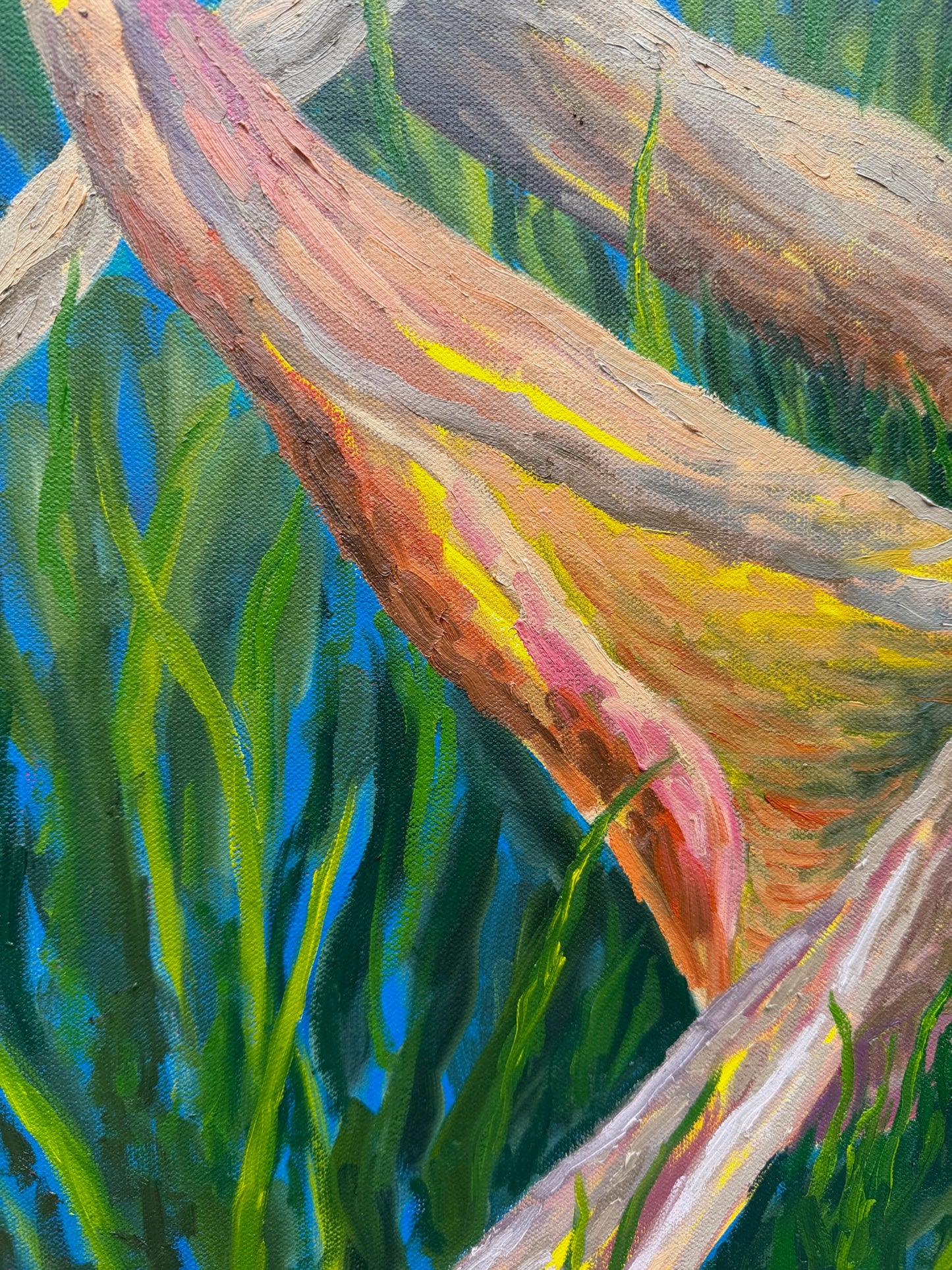 Cut Down